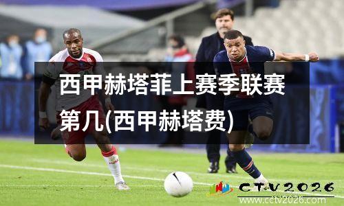 西甲赫塔菲上赛季联赛第几(西甲赫塔费)