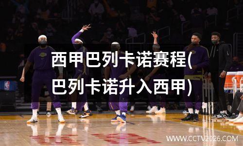 西甲巴列卡诺赛程(巴列卡诺升入西甲)