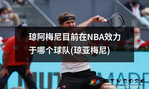 琼阿梅尼目前在NBA效力于哪个球队(琼亚梅尼)