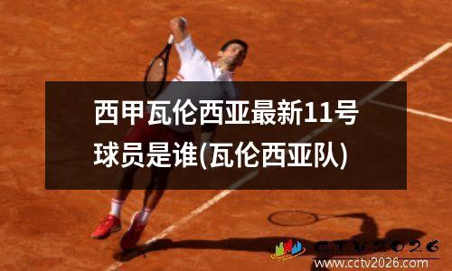 西甲瓦伦西亚最新11号球员是谁(瓦伦西亚队)