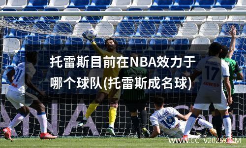 托雷斯目前在NBA效力于哪个球队(托雷斯成名球)