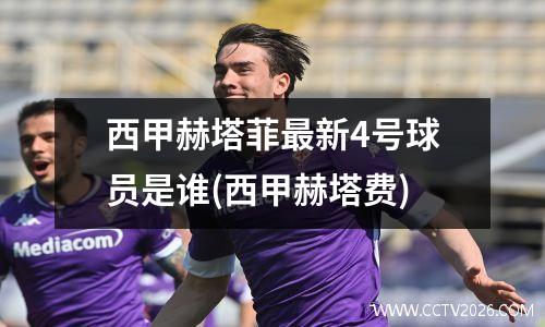 西甲赫塔菲最新4号球员是谁(西甲赫塔费)