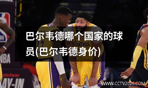 巴尔韦德哪个国家的球员(巴尔韦德身价)