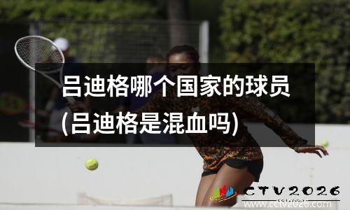 吕迪格哪个国家的球员(吕迪格是混血吗)