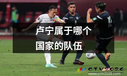 卢宁属于哪个国家的队伍