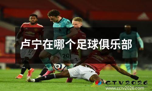 卢宁在哪个足球俱乐部