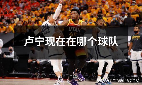 卢宁现在在哪个球队