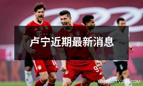 卢宁近期最新消息