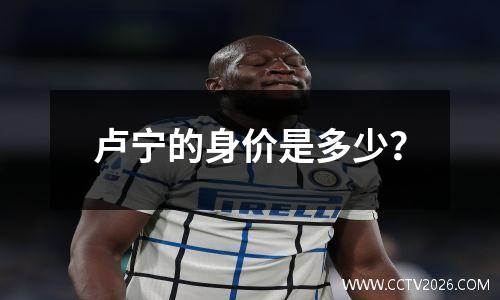 卢宁的身价是多少？