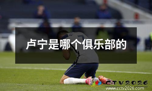 卢宁是哪个俱乐部的