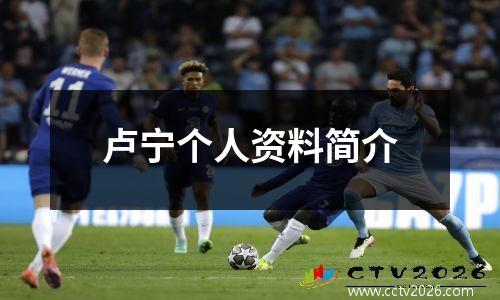 卢宁个人资料简介