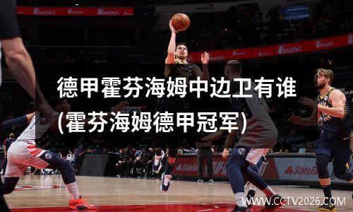 德甲霍芬海姆中边卫有谁(霍芬海姆德甲冠军)