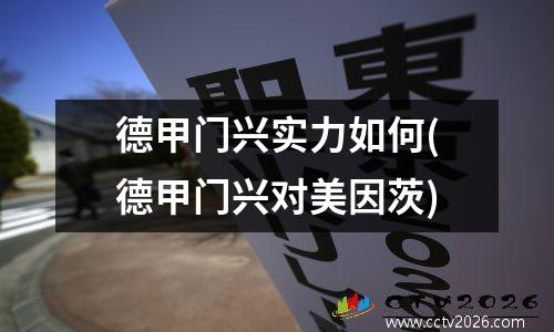 德甲门兴实力如何(德甲门兴对美因茨)