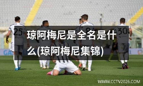 琼阿梅尼是全名是什么(琼阿梅尼集锦)