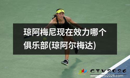 琼阿梅尼现在效力哪个俱乐部(琼阿尔梅达)