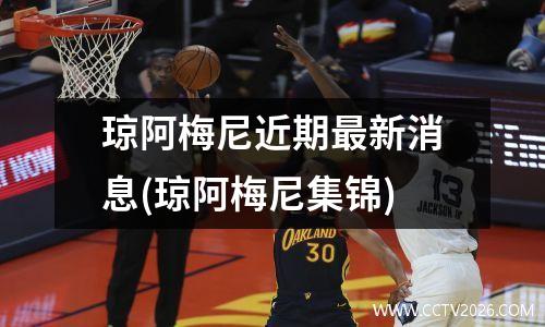 琼阿梅尼近期最新消息(琼阿梅尼集锦)