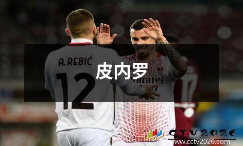 皮内罗