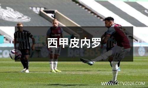 西甲皮内罗