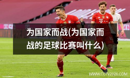 为国家而战(为国家而战的足球比赛叫什么)
