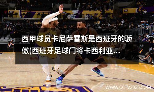 西甲球员卡尼萨雷斯是西班牙的骄傲(西班牙足球门将卡西利亚斯)