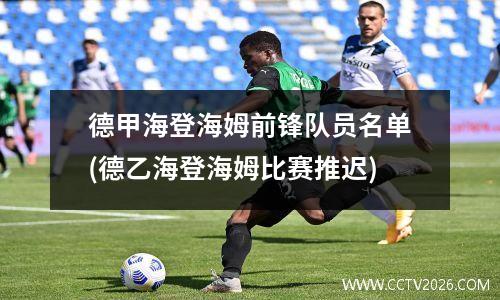 德甲海登海姆前锋队员名单(德乙海登海姆比赛推迟)