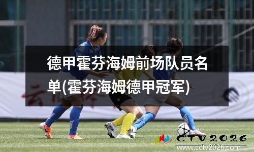 德甲霍芬海姆前场队员名单(霍芬海姆德甲冠军)
