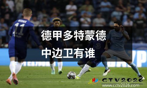 德甲多特蒙德中边卫有谁