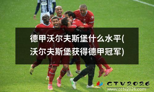 德甲沃尔夫斯堡什么水平(沃尔夫斯堡获得德甲冠军)