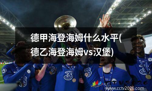 德甲海登海姆什么水平(德乙海登海姆vs汉堡)