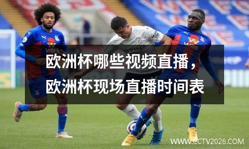 欧洲杯哪些视频直播，欧洲杯现场直播时间表