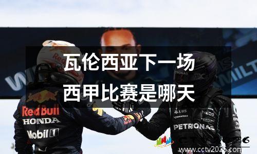 瓦伦西亚下一场西甲比赛是哪天
