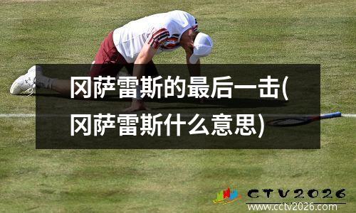 冈萨雷斯的最后一击(冈萨雷斯什么意思)