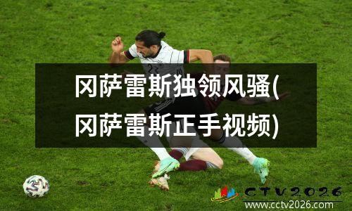 冈萨雷斯独领风骚(冈萨雷斯正手视频)