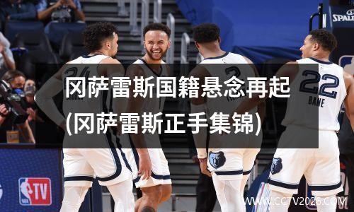 冈萨雷斯国籍悬念再起(冈萨雷斯正手集锦)