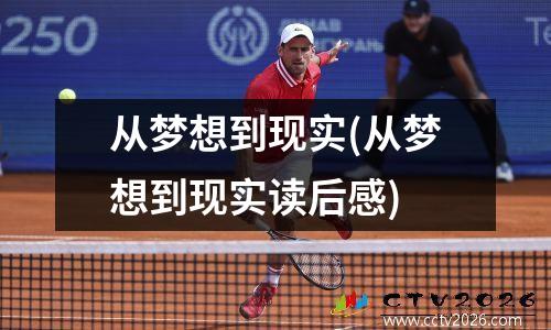 从梦想到现实(从梦想到现实读后感)