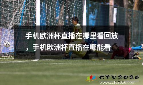 手机欧洲杯直播在哪里看回放，手机欧洲杯直播在哪能看