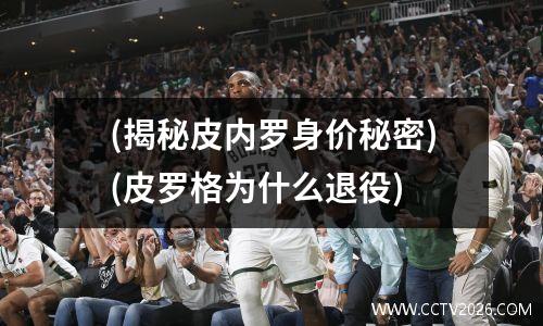 (揭秘皮内罗身价秘密)(皮罗格为什么退役)