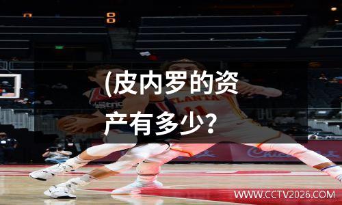 (皮内罗的资产有多少？
