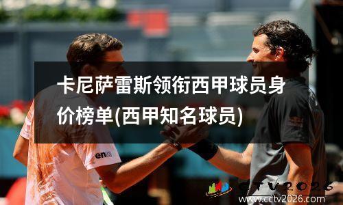 卡尼萨雷斯领衔西甲球员身价榜单(西甲知名球员)