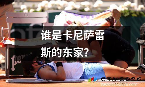 谁是卡尼萨雷斯的东家？