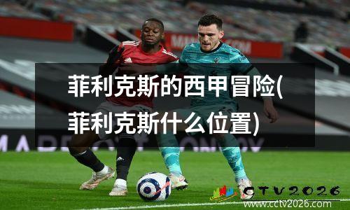 菲利克斯的西甲冒险(菲利克斯什么位置)