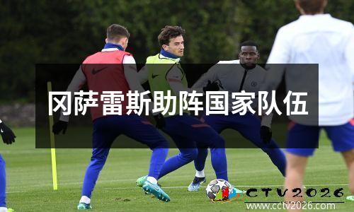 冈萨雷斯助阵国家队伍