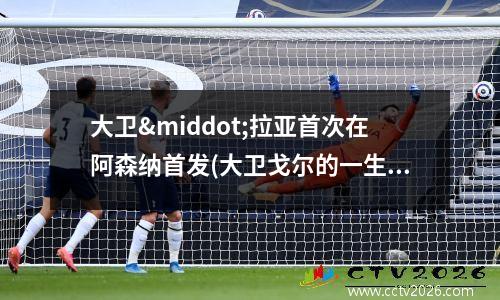 大卫·拉亚首次在阿森纳首发(大卫戈尔的一生)