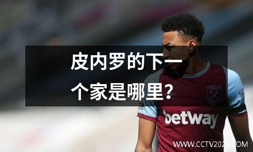 皮内罗的下一个家是哪里？
