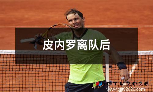 皮内罗离队后