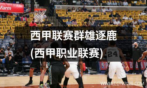 西甲联赛群雄逐鹿(西甲职业联赛)