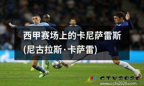 西甲赛场上的卡尼萨雷斯(尼古拉斯·卡萨雷)