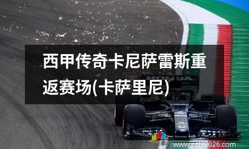 西甲传奇卡尼萨雷斯重返赛场(卡萨里尼)