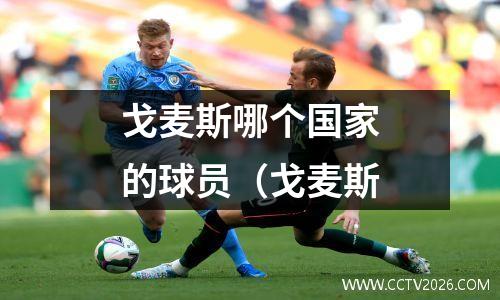 戈麦斯哪个国家的球员（戈麦斯