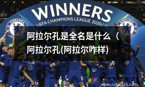 阿拉尔孔是全名是什么（阿拉尔孔(阿拉尔咋样)